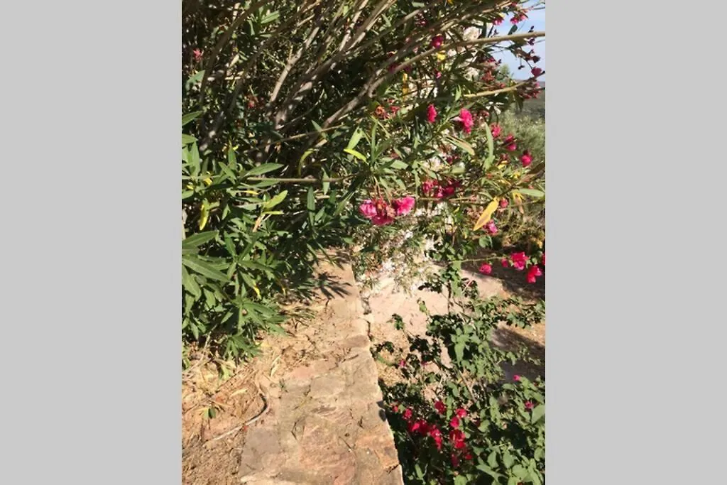 Le Farfalle Appartamento In Villa Trifamiliare Porto Istana Italy